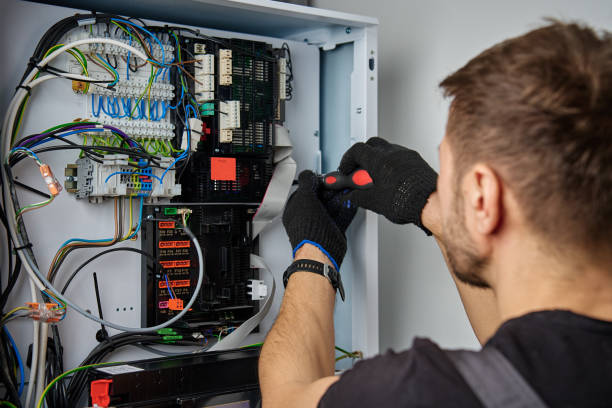 Licensed Electrical Panel Upgrade service in Cologne, MN - No Joke electrician